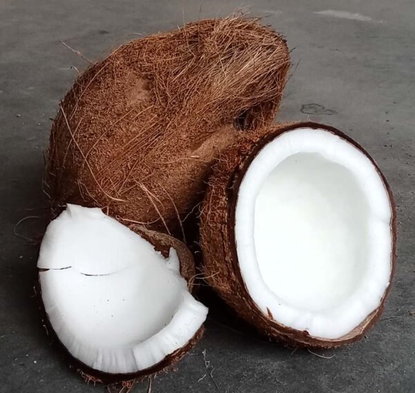 semi husked coconut