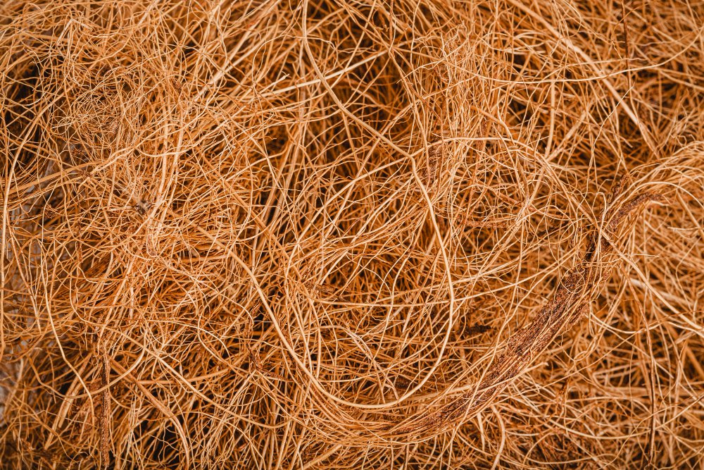 Coco coir's journey into the fashion world is a testament to the growing demand for sustainable practices.