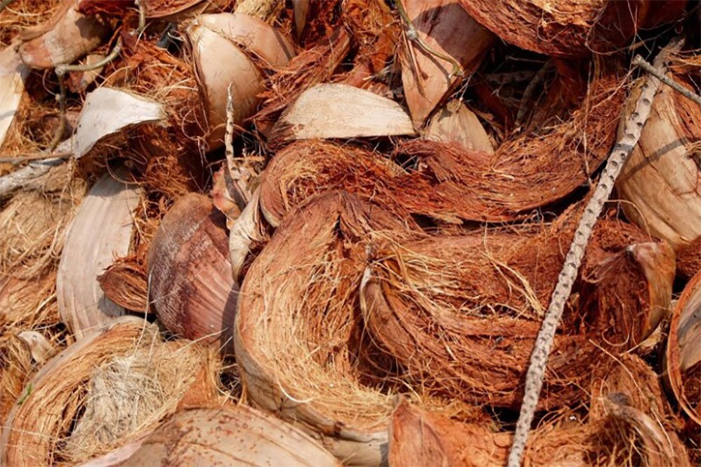 Coconut husks, composed primarily of lignocellulose, are remarkably resilient.