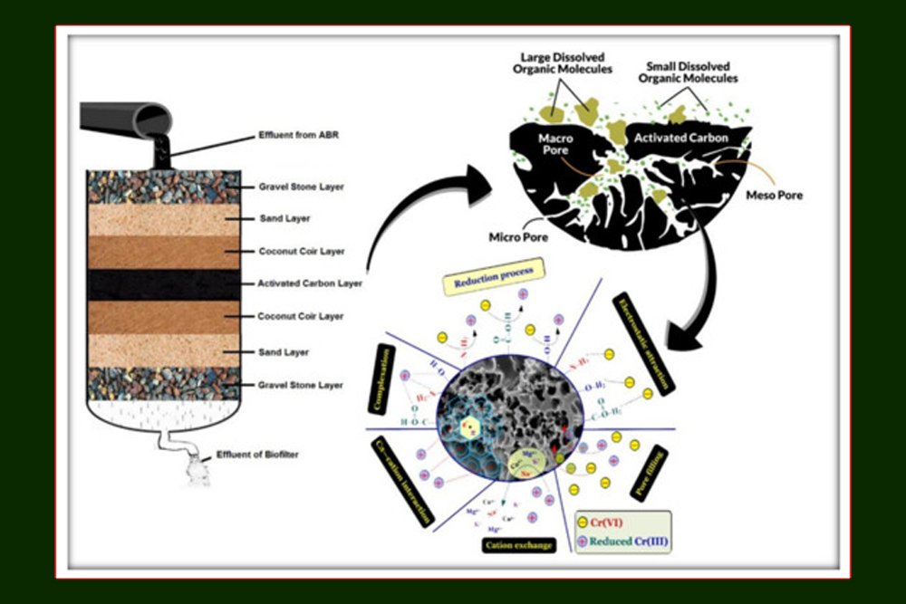 Coconut shells, a byproduct of the coconut industry, are often discarded as waste.