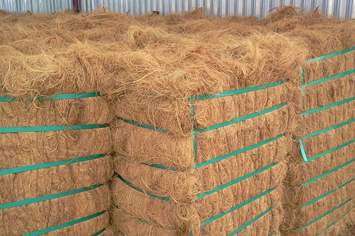 Coconut Fiber