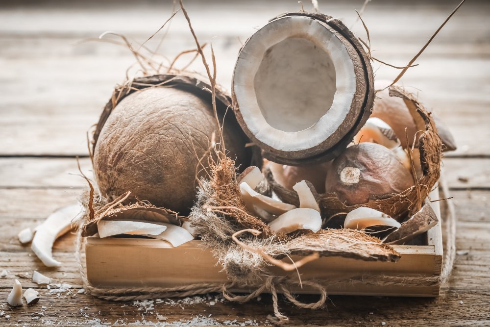 Coconut cultivation is a major industry in many tropical and subtropical regions, generating enormous quantities of byproducts.