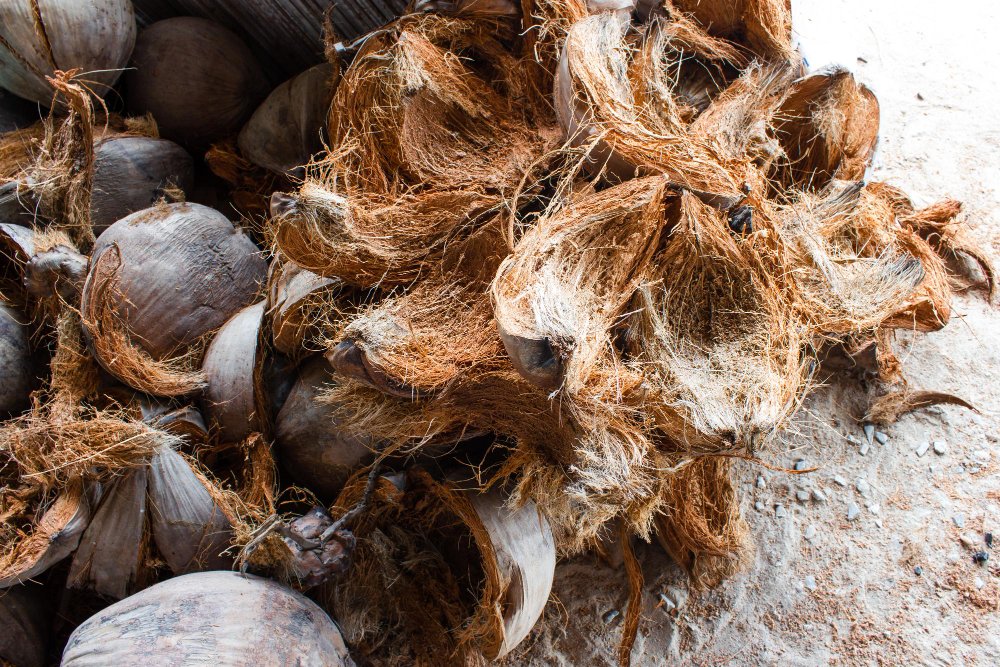 Coconut husk