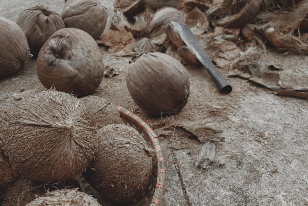 The traditional disposal methods for coconut waste – burning or dumping – are not only environmentally damaging but also represent a significant loss of valuable resources.