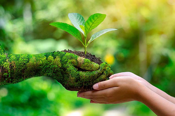 Biodiversity Conservation