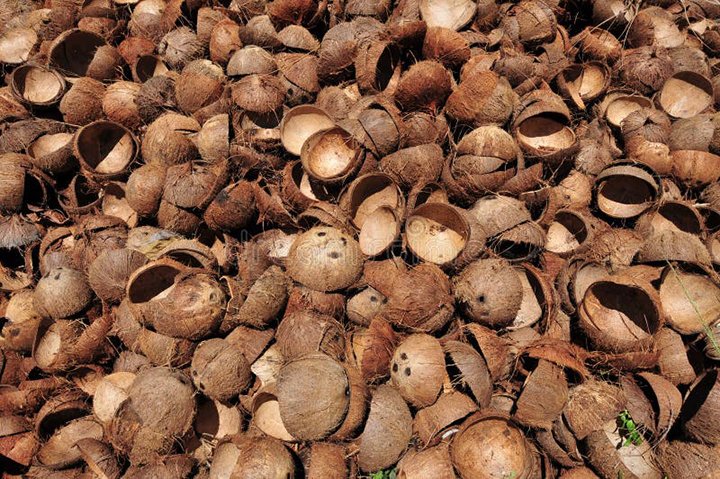 coconut shells