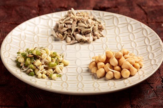 A variety of sprouting seeds and chickpeas arranged on a decorative white ceramic plate.