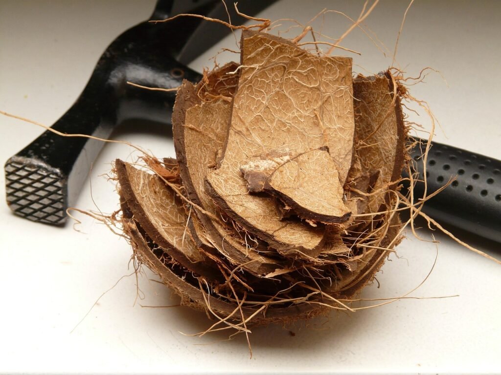 coconut, shell, coconut shell, hammer, to open, empty, leftovers, garbage, stone bowl, fibers, coconut fiber, coconut, coconut shell, coconut shell, coconut shell, coconut shell, coconut shell